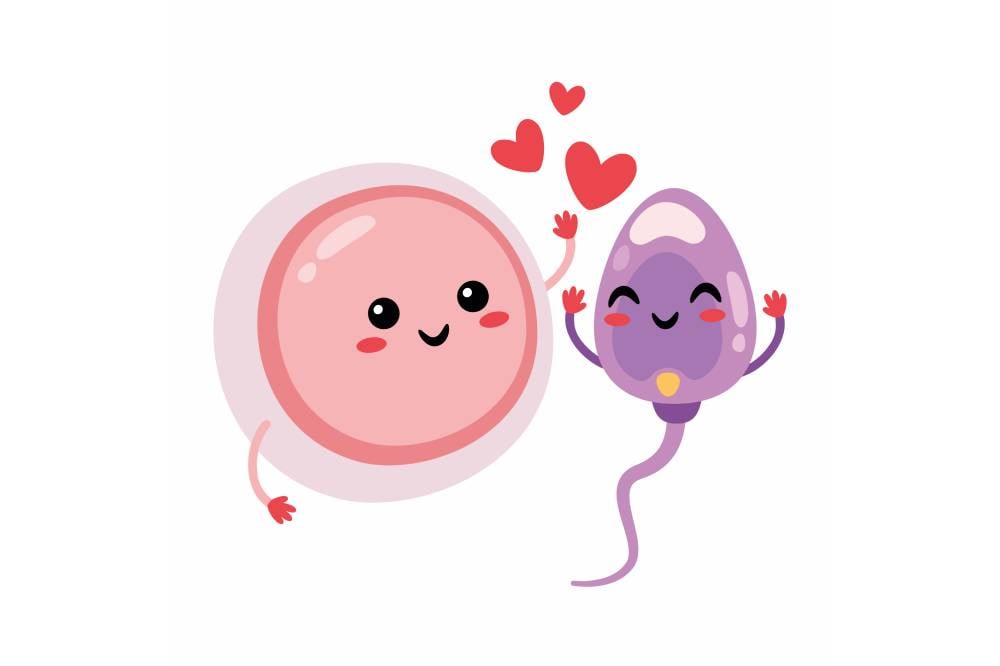 sex facts