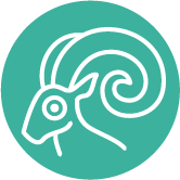 Sekshoroscoop Ram November