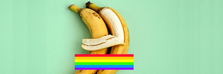 gay porno